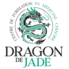 Kit étudiant Dragon de Jade